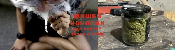 прущие грибы Лихославль