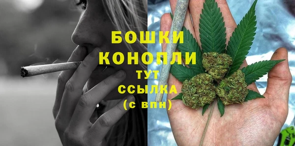 прущие грибы Лихославль