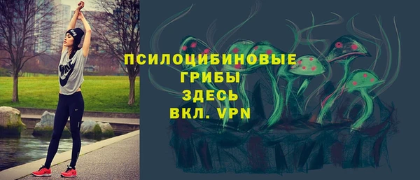прущие грибы Лихославль