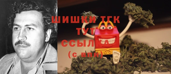 прущие грибы Лихославль