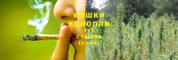 Альфа ПВП Лиски