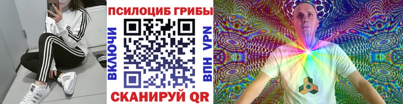 Галлюциногенные грибы MAGIC MUSHROOMS  Купить  Анадырь 